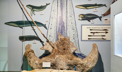 bio inicio bio inicio